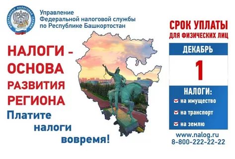 налог