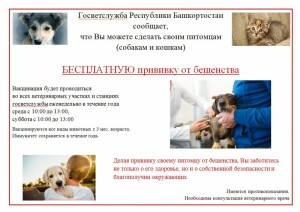 Безымянный